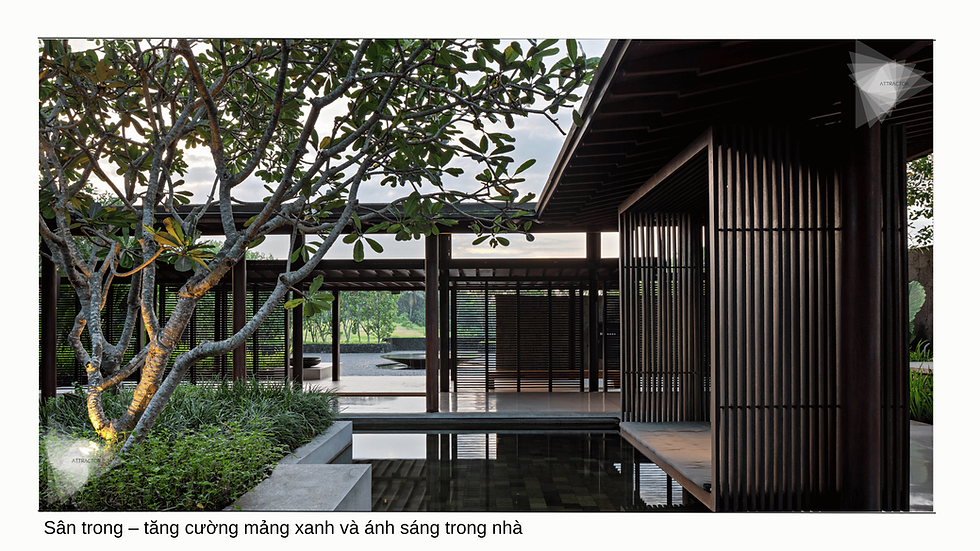 Thiết Kế Biệt Thự Hiện Đại: Ngôn Ngữ Hình Khối Và Chiều Sâu Không Gian