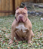 IMG_4788.JPG