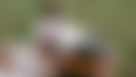 What to Do After You Say “Yes!”