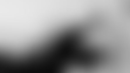 Maximizing Your Social Media Presence: A Guide for Small Businesses