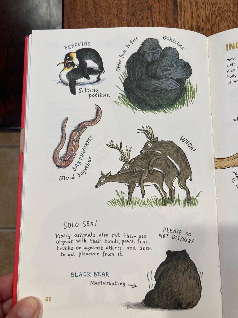 Thumbnail: Do Animals Fall in Love	 by Katharina von der Gathen