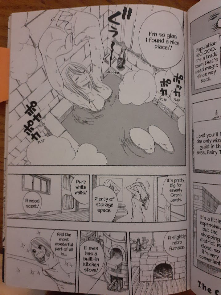 Thumbnail: Fairy Tail: Volume 1	by Hiro Mashima