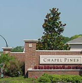 Chapel Pines