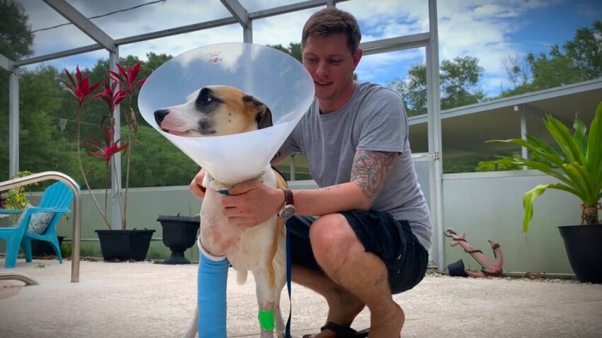 Wesley Chapel Man Makes News by Defending His Dog From Gator…