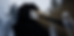 HighresScreenshot00000.png