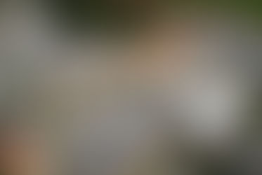 Rohbauarbeiten der Schlossterrassen in Johannisberg bald fertig