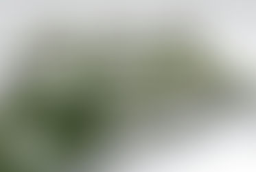 Wohnquartier "Ehemaliges RWZ-Gelände" in Nieder-Olm - Vertriebsbeginn im Februar 2023