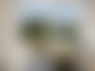 Torhäuser Mainz - Verkaufsstart auf dem Taubertsberg