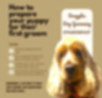 979CA8D2-6C95-4CAA-9F28-A61A12F6AA32