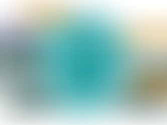 Post Occupancy Evaluation in Senior Living 