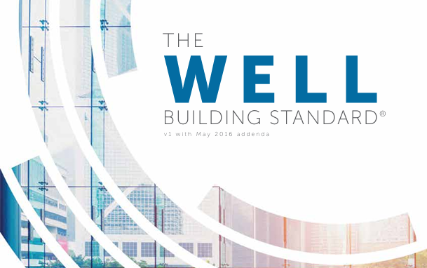 The Well Being Standard .pdf download