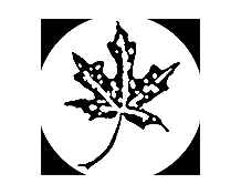 senior-living-studio-logo.png