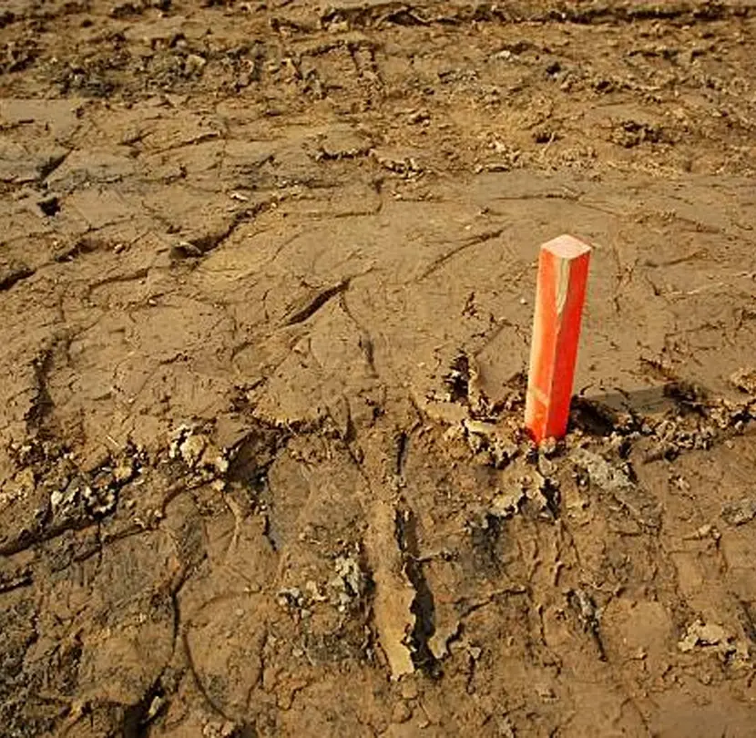 Landscape Site Grading West Los Angeles