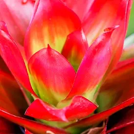 Pacific Palisades Landscape Designer