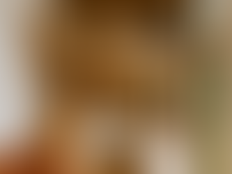 Innenansicht eines modernen Tiny Houses mit Loft-Schlafbereich, Holzverkleidung, integrierter Treppe, heller Küche und großen Fenstern, die natürliches Licht hereinlassen.