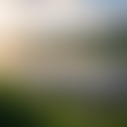 Slik påvirker registeret for betalingsanmerkninger lånemulighetene i 2026