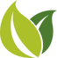 carlavstudios_newlogo2.png