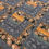Thumbnail: Rock Line