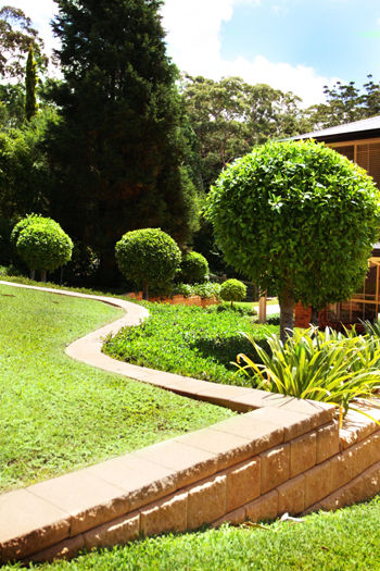 Edging of gardens, lawn maintenance