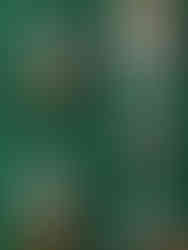 Kerst fotoshoot voor kleine kinderen