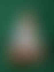 Kerst shoot voor gezin met kleine kinderen