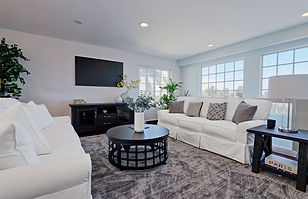 living room1 - 222 larsson.jpg