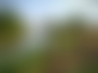 TONGUE RIVER, BIRNEY, MT STEADY STREAM HYDROLOGY