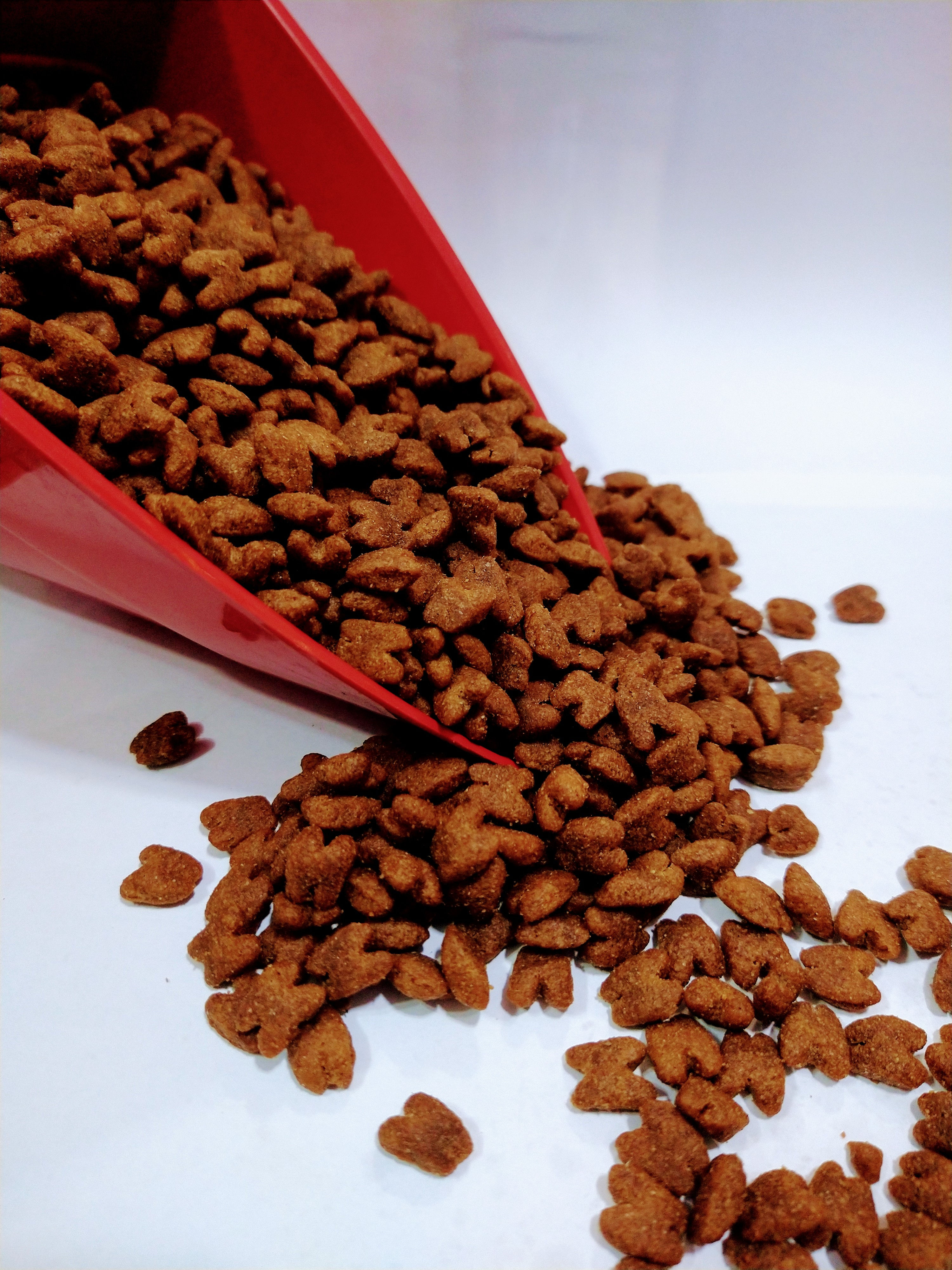 SPECIAL DOG ULTRALIFE RAÇAS PEQUENAS SÊNIOR FRANGO E ARROZ por KG