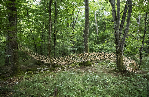 Capture d’écran 2025-08-01 à 11.43.42.png