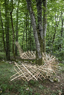 Capture d’écran 2025-08-01 à 11.44.16.png