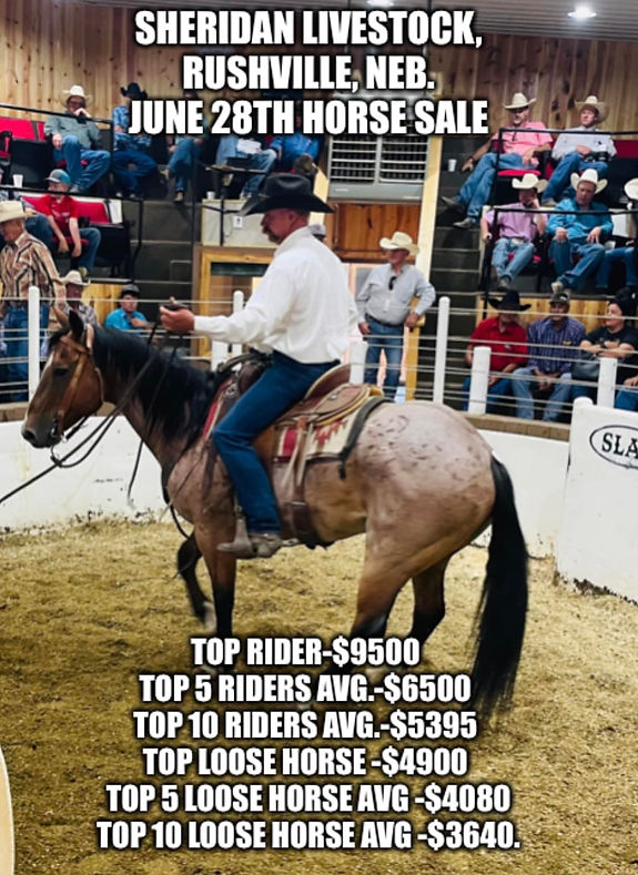 Jury finds Rushville sale barn shooting defendant not guilty on all counts