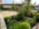 IMG_7821.jpeg