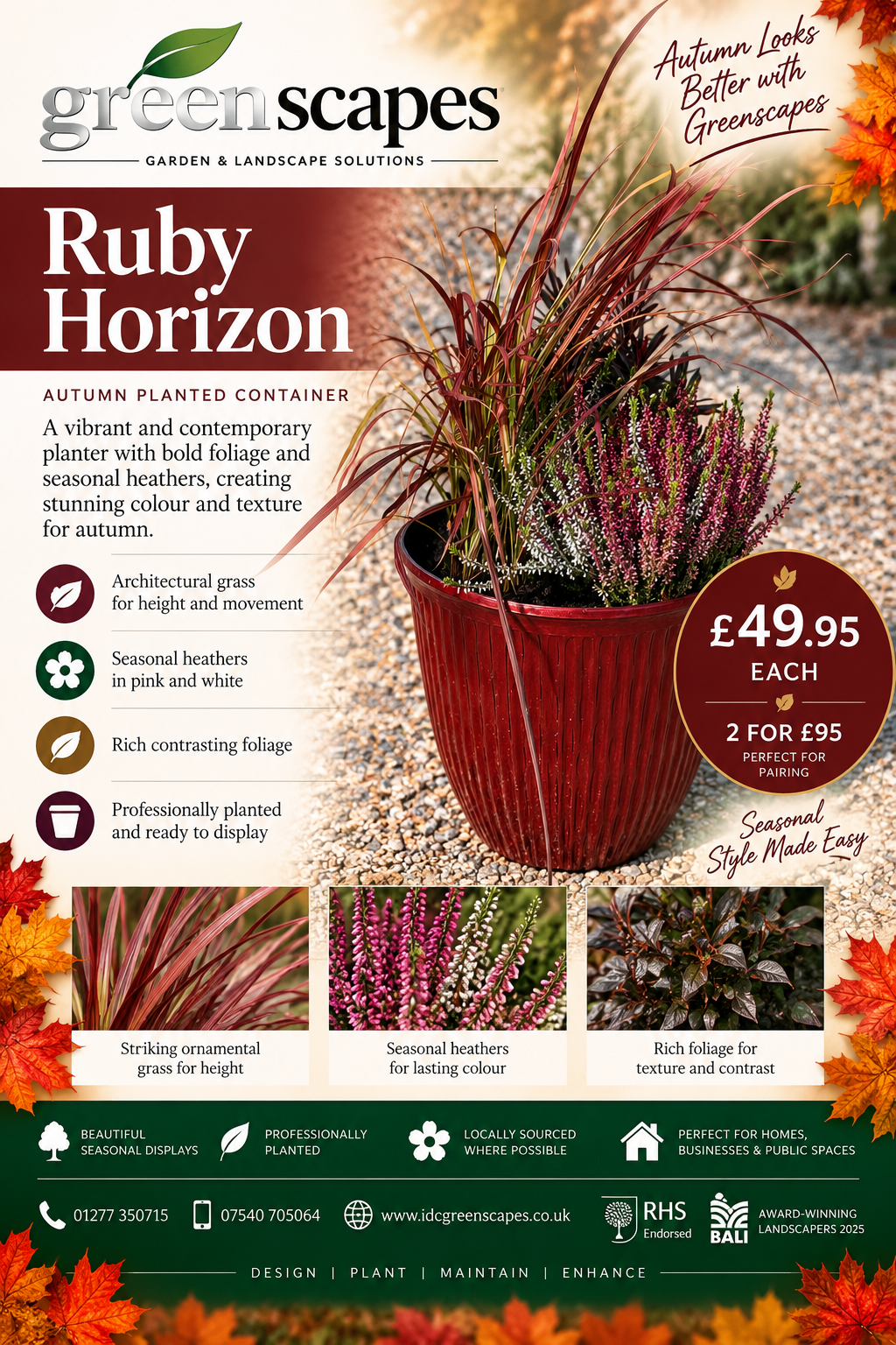 Ruby Horizon
