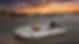IMG_3639.jpeg