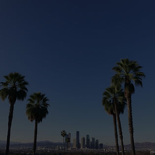 palm trees los angeles skyline_edited.jpg