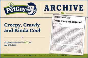 Original 2000 Like Cats and Dogs newspaper column titled "Creepy, crawly and kinda cool" by Jeff Seidenfaden discussing tarantulas, exotic pet care, and overcoming fear of spiders.