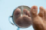 AdobeStock_299792455_edited.jpg