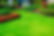 Image of a well kept lawn