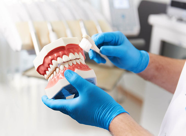 Dentist demonstrating brushing teeth on a dummy model of teeth