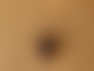 NOT WANTED! House Spiders