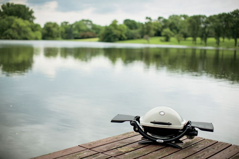 Thumbnail: Weber Q 1200 