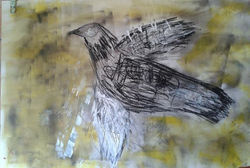 ציפור במעוף אל החופש