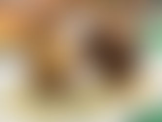 Soda Bread Crusted Pork chops & Colcannon Potatoes on WCCO