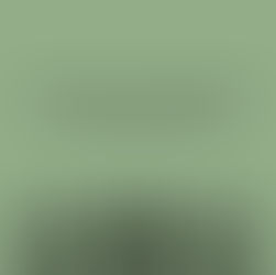 Community Commitments to the Disciplines of Grace