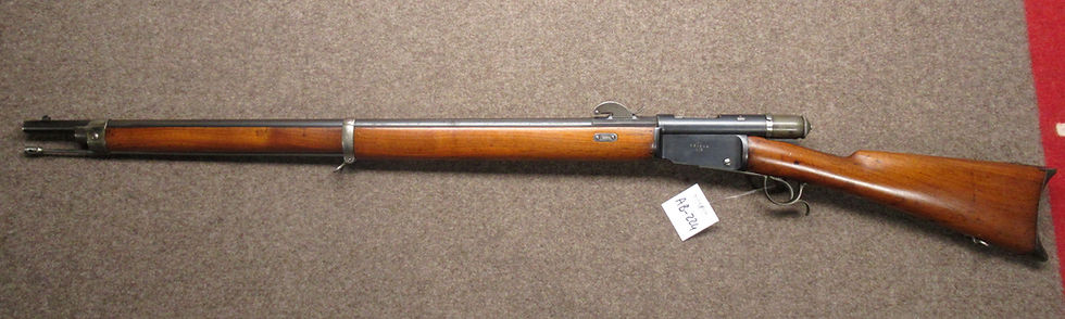 Miniatura: AB-224 carabina VETTERLI mod. 1878 cal. 10.4mm