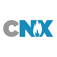 CNX (1).png