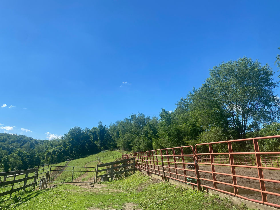 Outdoor Arena and Fields