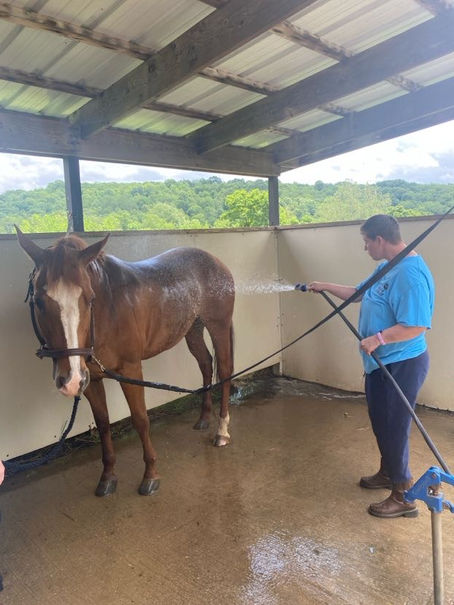 A rider hoses water onto horse during summer