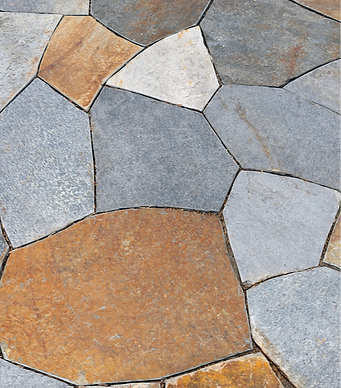 AdobeStock_176174158_Preview_edited.png