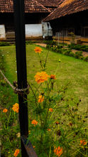 PSX_20211017_080613.jpg